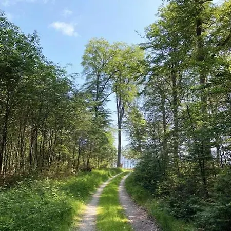 Vøjre Teltet - Littlest Camp Tranekær